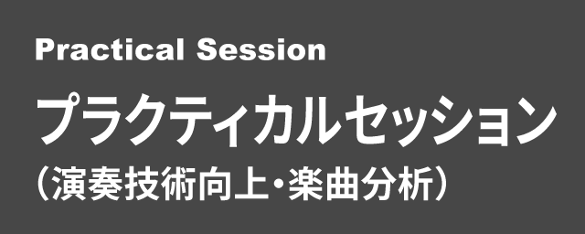 プラクティカルセッション